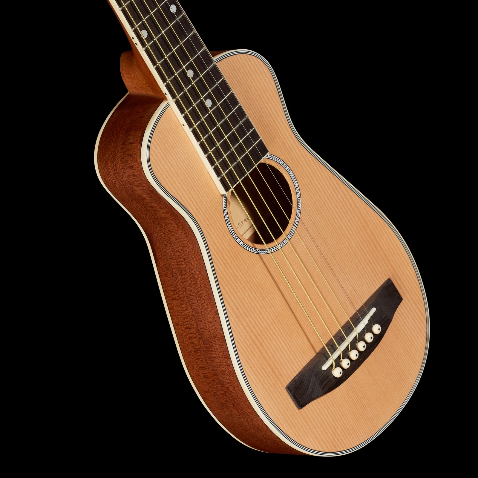 Harley Benton Traveler-Steel Korpus Schrägansicht