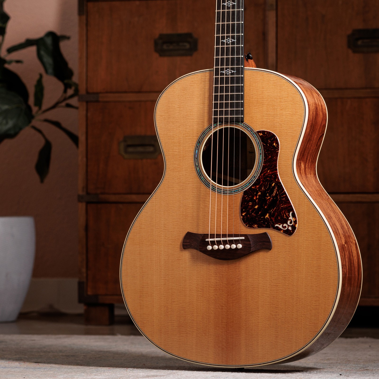 Korpus und Fichtendecke der Taylor Gold Label 814e in einem Wohnzimmer
