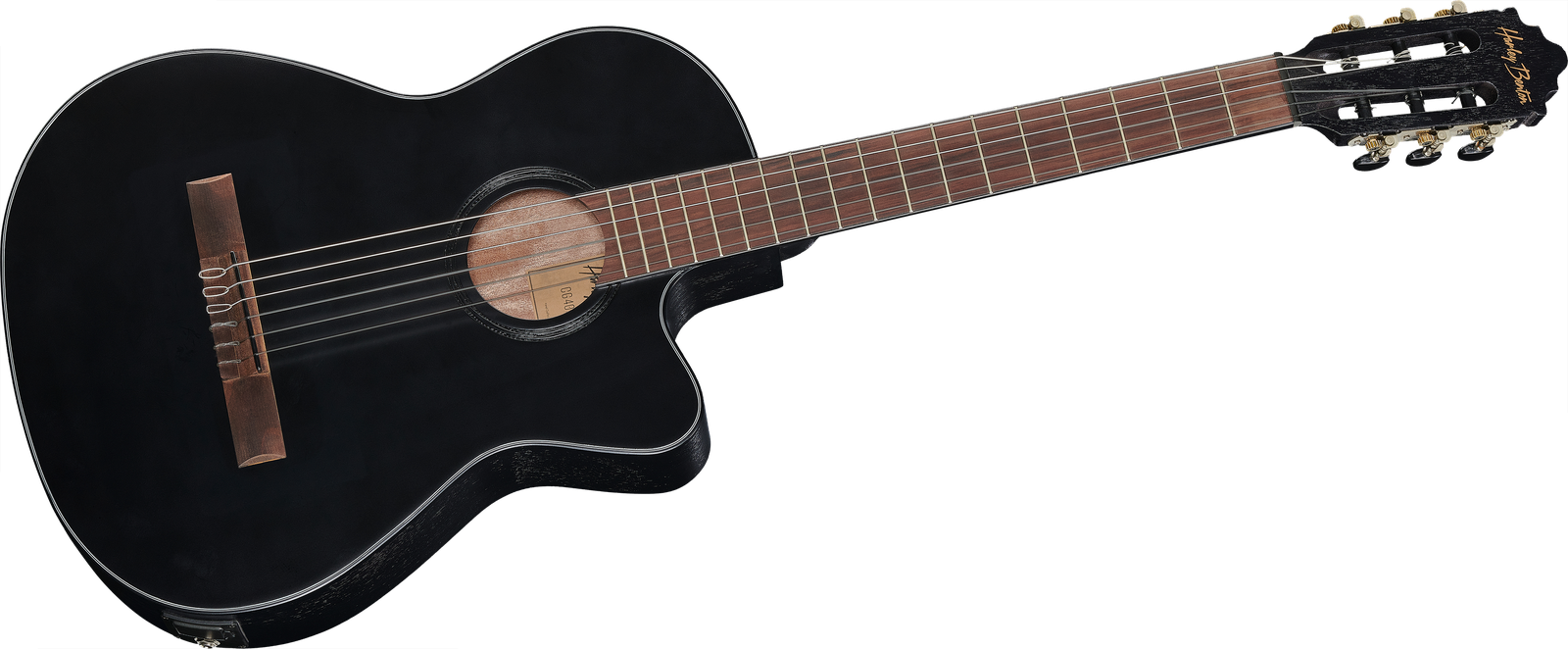 Thinline Konzertgitarre Komplettansicht