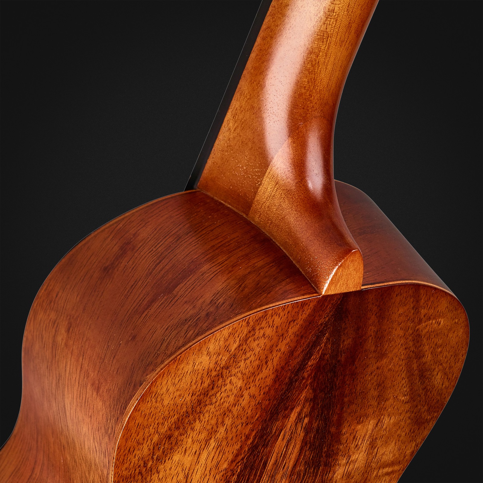 Rückseite der Harley Benton Hawaii Koa Concert Ukulele