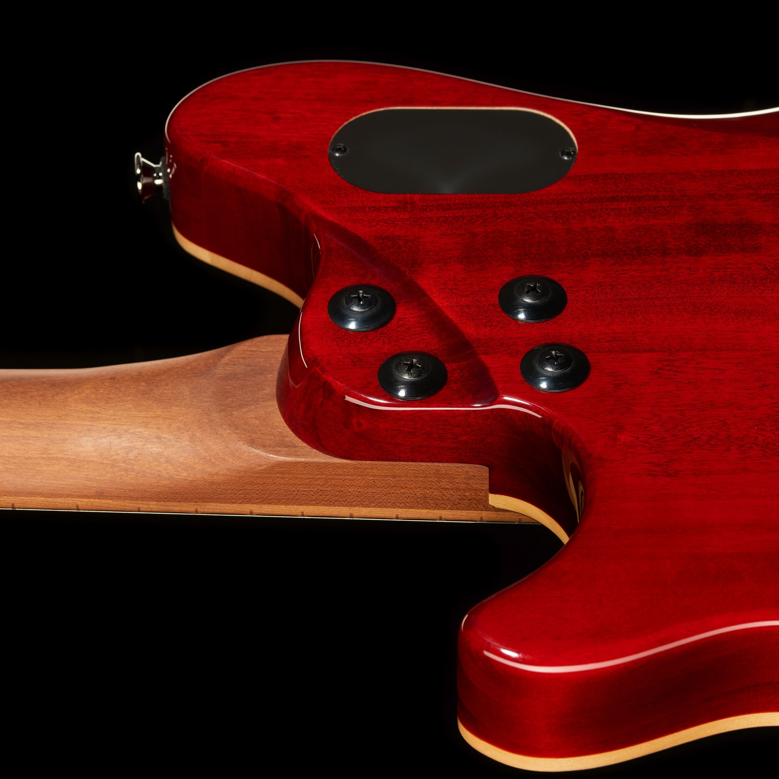 Geschraubter Hals auf der Rückseite der Evh Wolfgang WG Standard Exotic