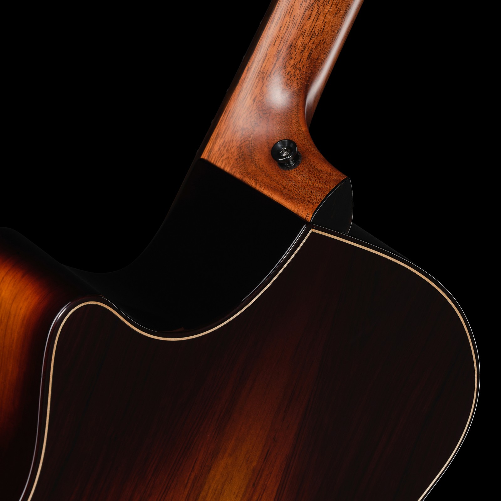 Halsübergang der Taylor Builders Edition 814ce NG Gitarre