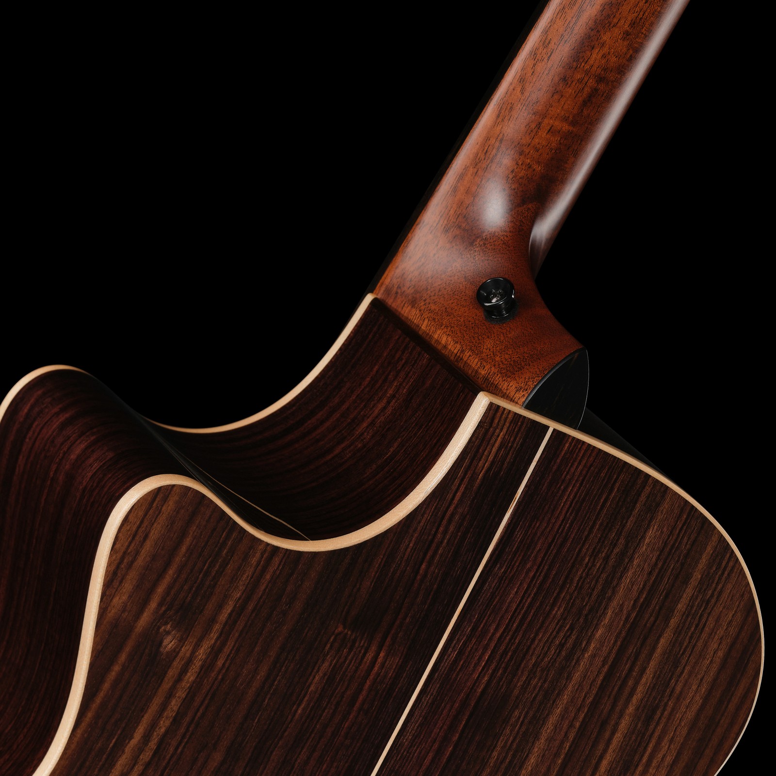 Halsübergang der Taylor 854ce Next Generation Gitarre