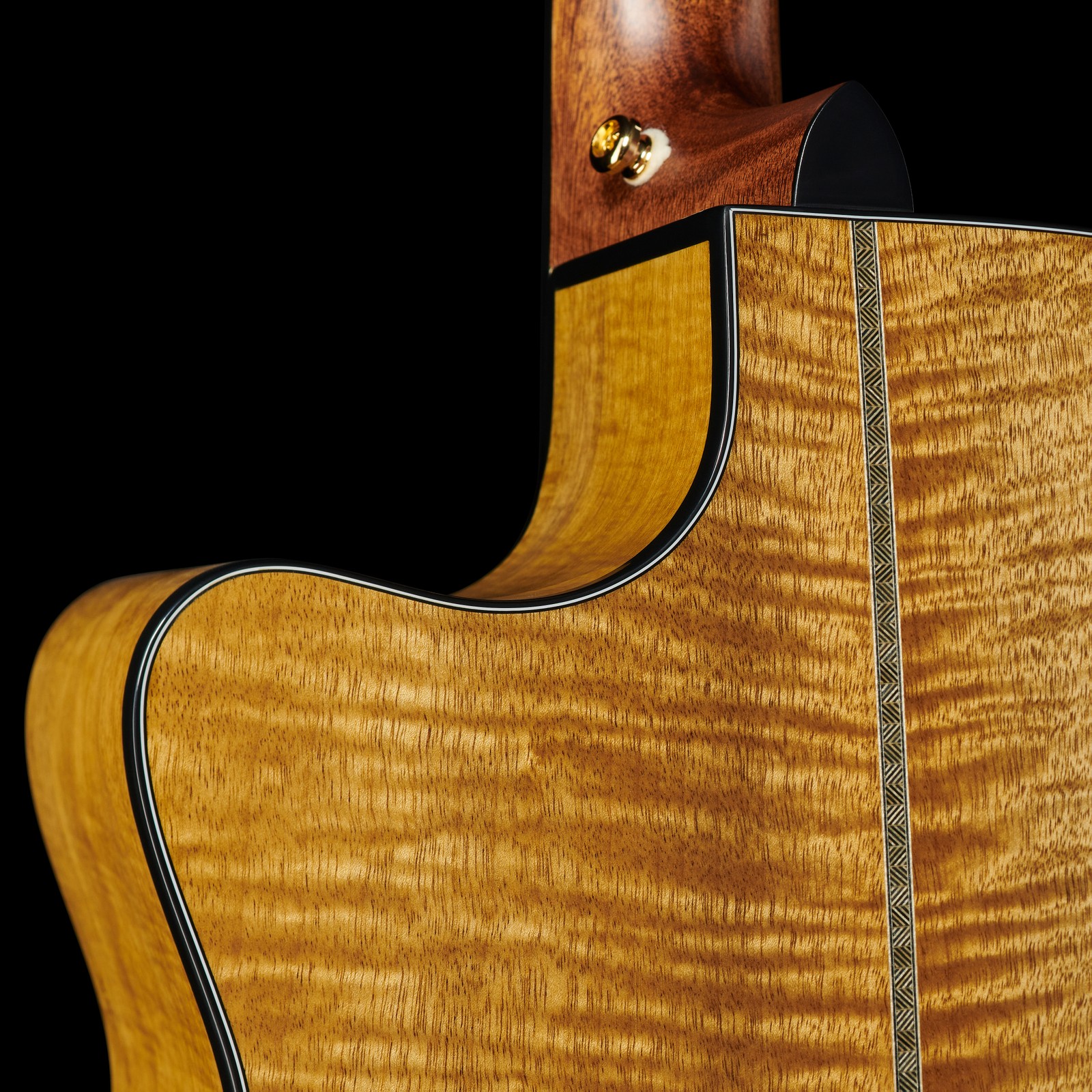 Cort Gold Edge Akustikgitarre Halsübergang