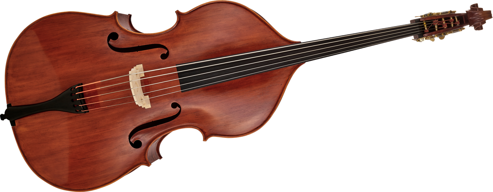 Fünfsaiter Kontrabass Scala Vilagio Double Bass Ceruti 5-Str. IB Frontansicht