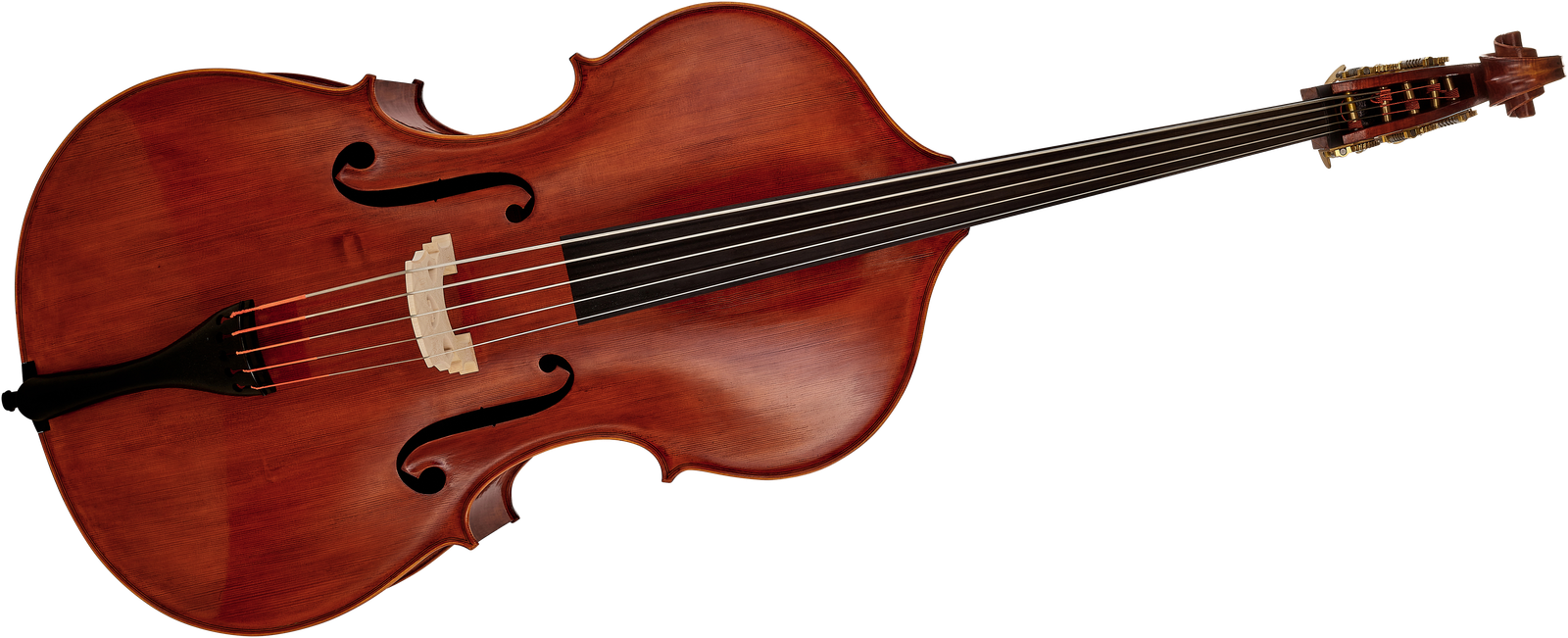 5-Saiter Kontrabass Scala Vilagio Double Bass Panormo 5-Str. IB Frontansicht