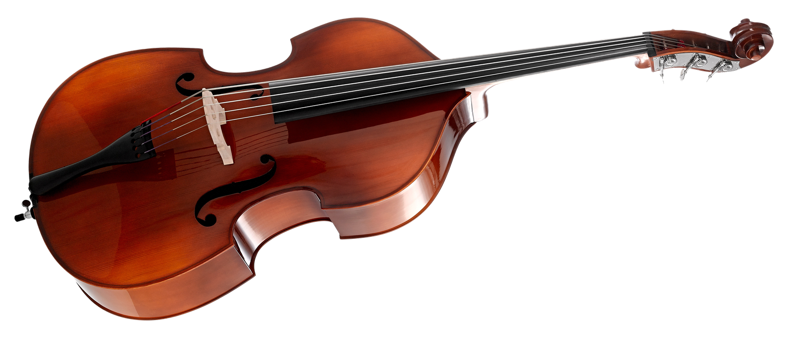 Thomann 44/5str 3/4 Europe Double Bass