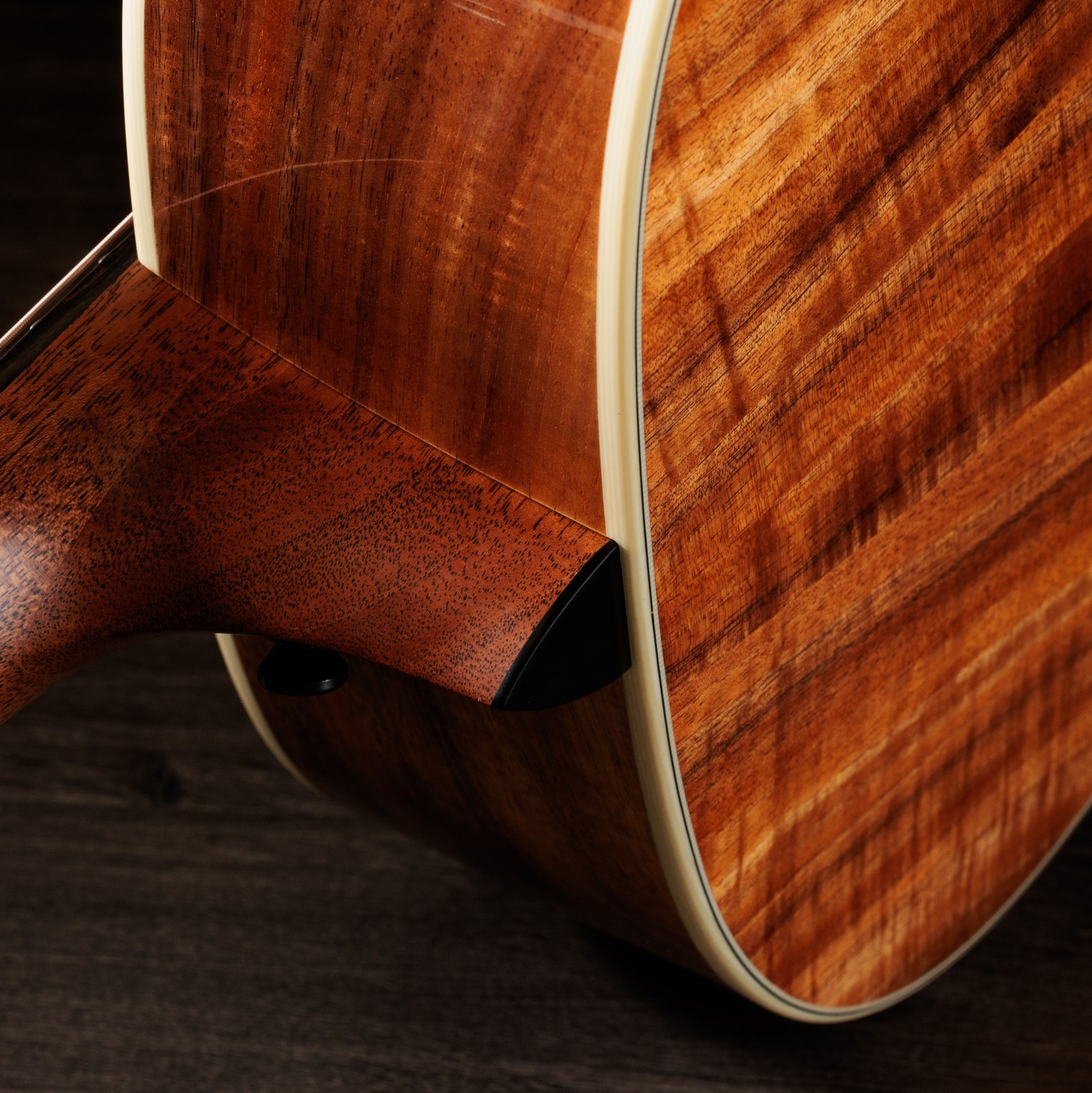 Halsfuß der Taylor Gold Label 814e Koa 