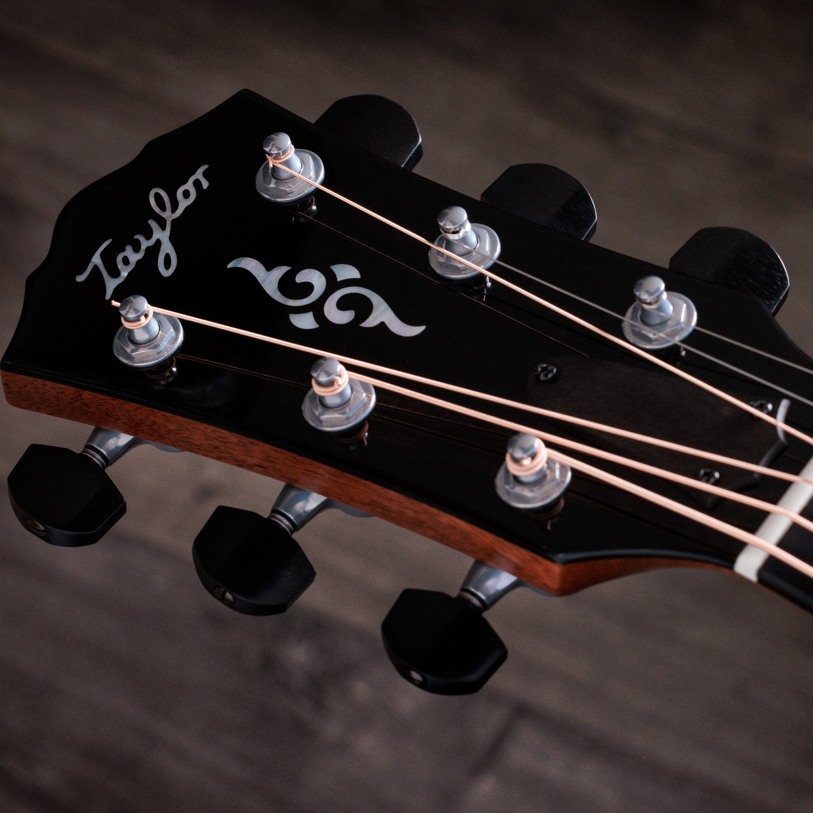 Taylor Westerngitarre Kopfplatte