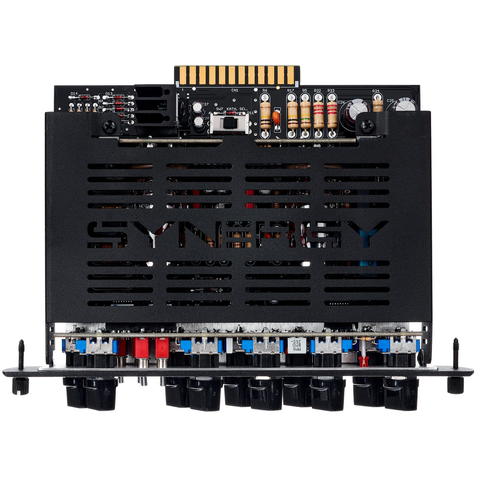 Synergy Friedman BE-DLX Pre-Amp Modul