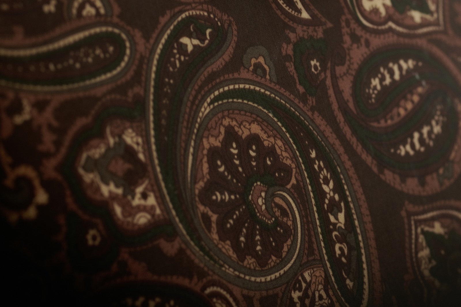 Paisley Druck auf der Harley Benton ST-70