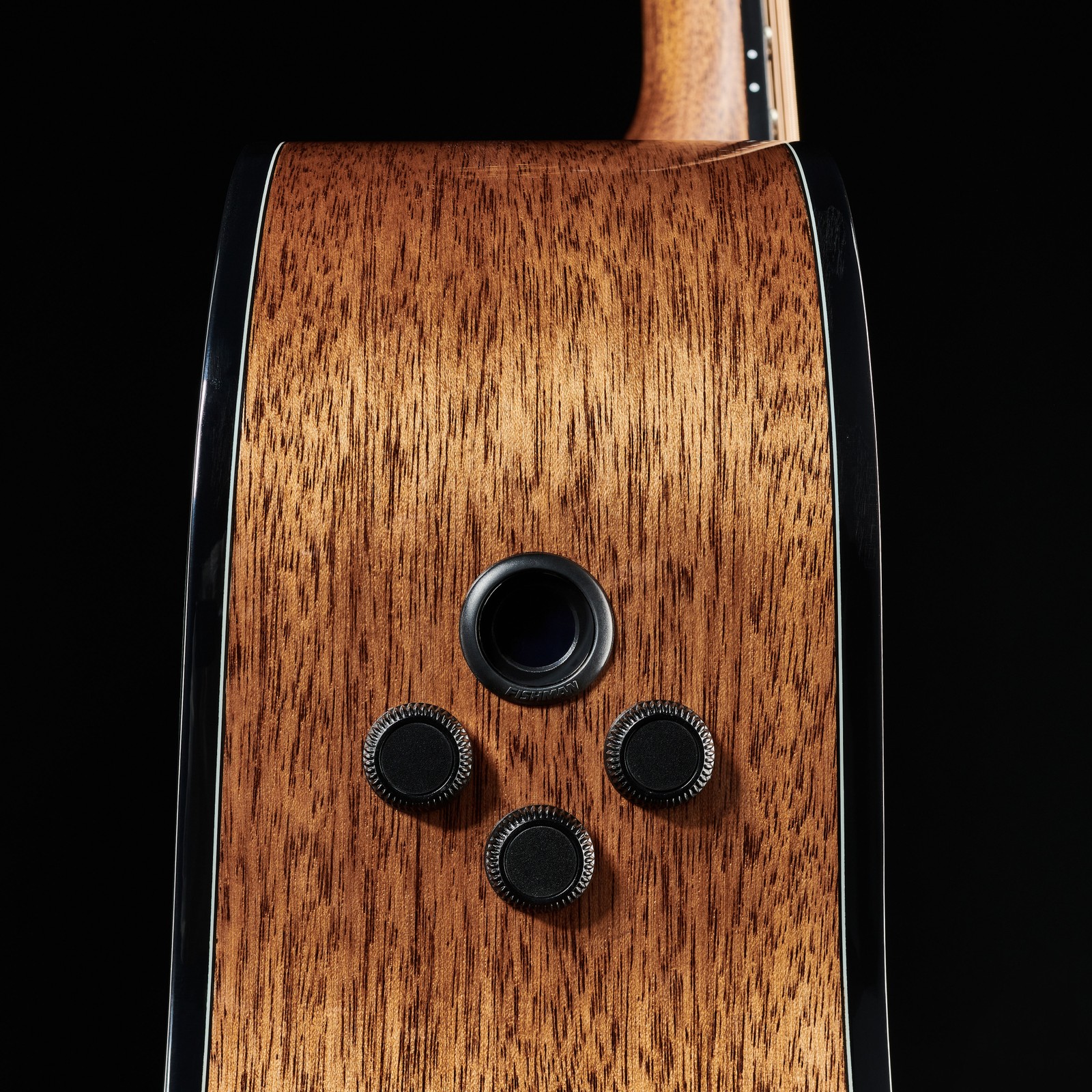 Cort Gold A6 Fishman Tonabnehmer