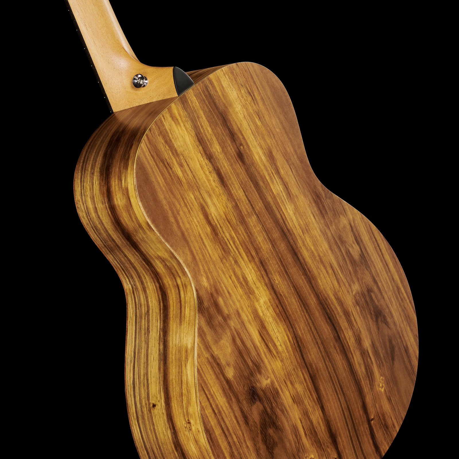 Detailansicht vom Hals-/Korpusübergang der Taylor GS Mini-e Koa 