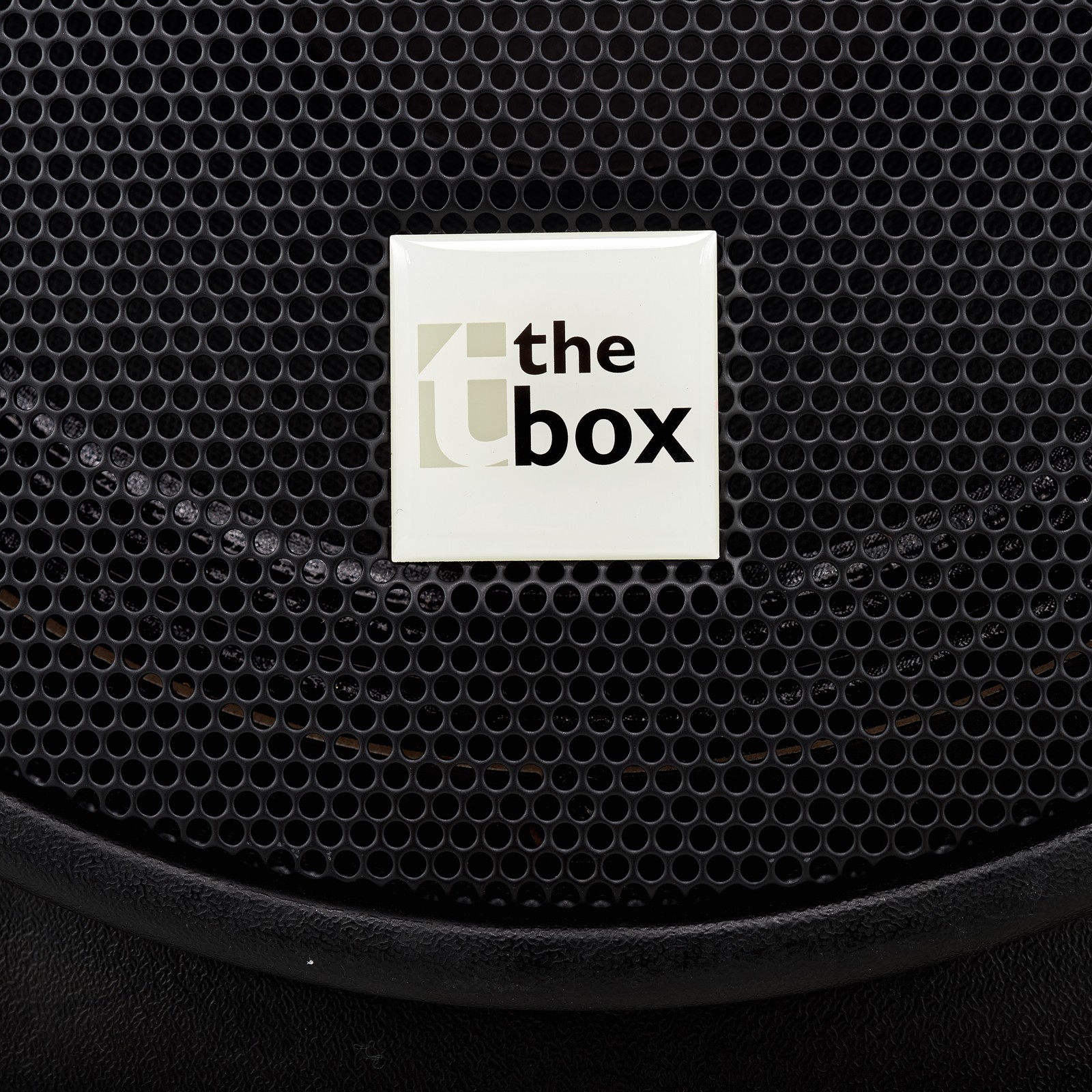 Frontgitter der the box PA302 A aktive 2-Wege Bi-amped Fullrange-Box