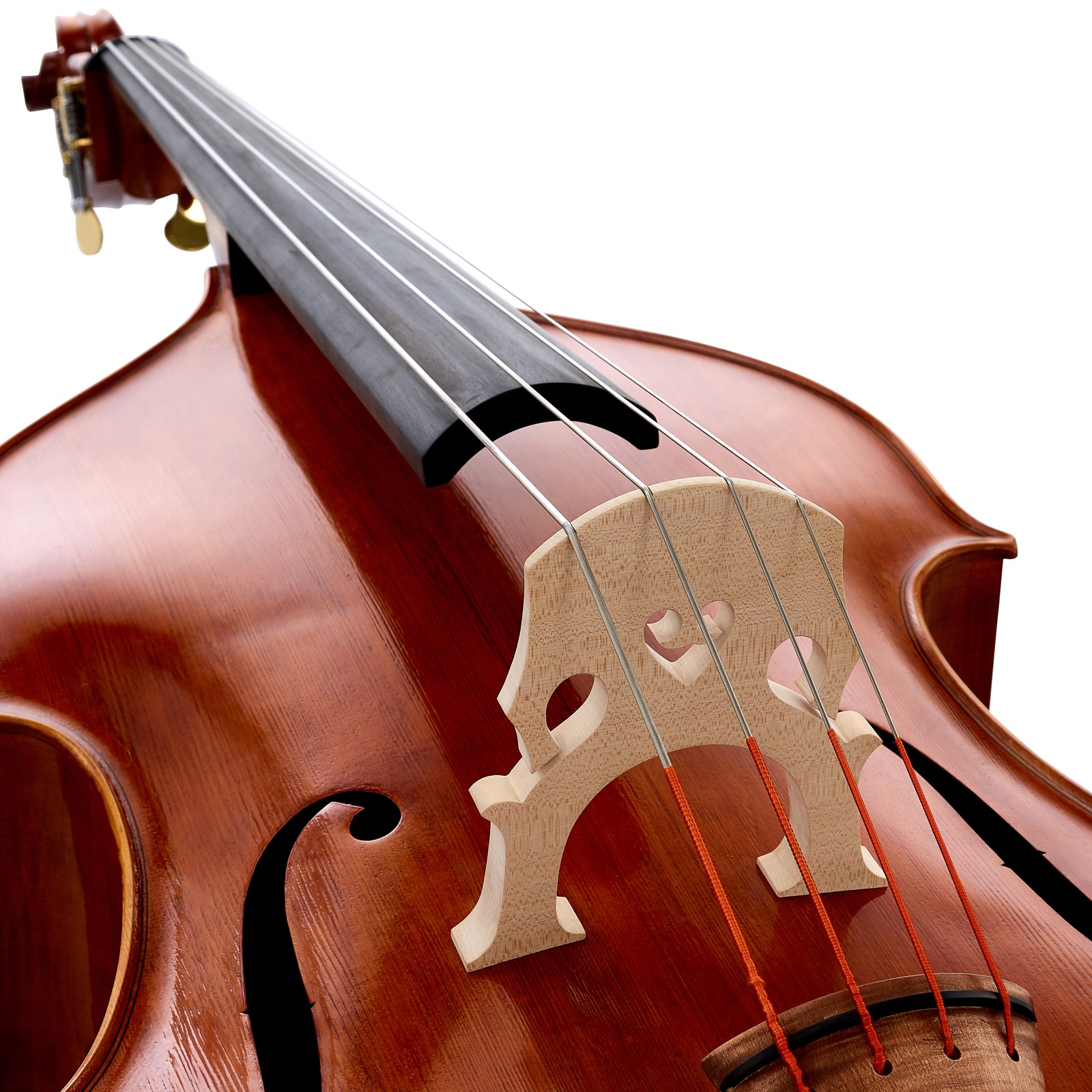 Scala Vilagio Double Bass French Model