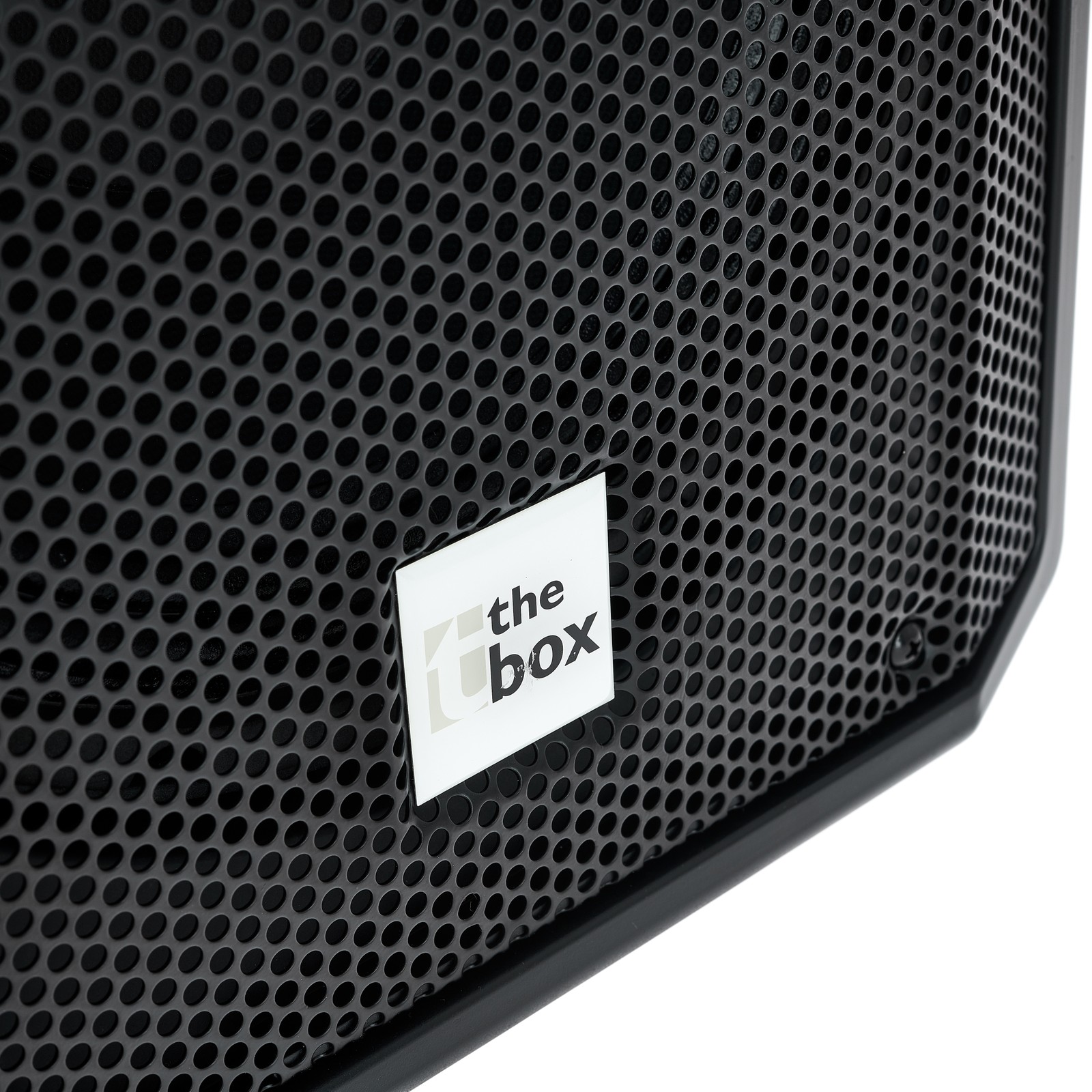 the box Logo am passiven Pyrit 10 High Power Fullrangelautsprecher