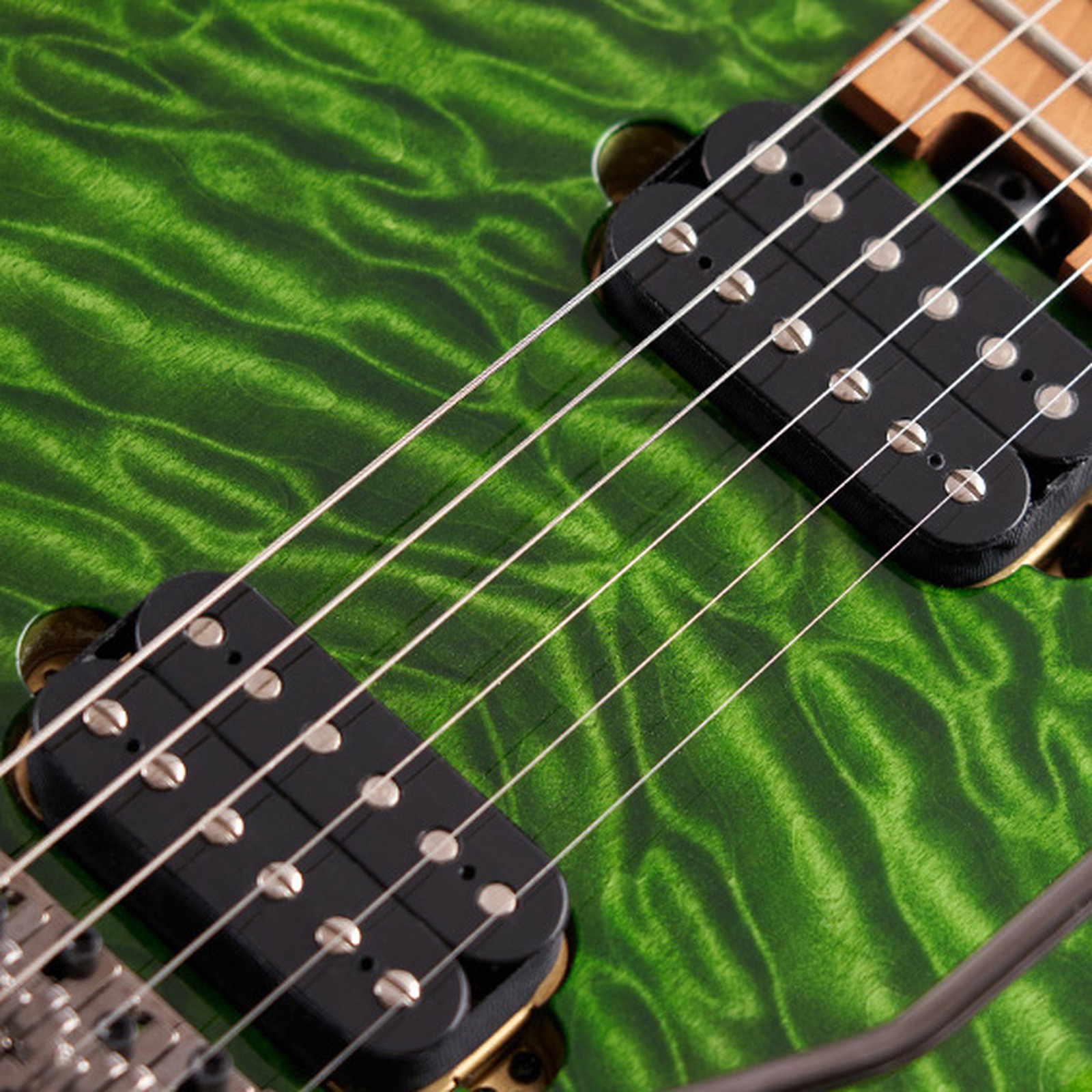 Humbucker in der Decke der Evh Wolfgang WG Std QM TG