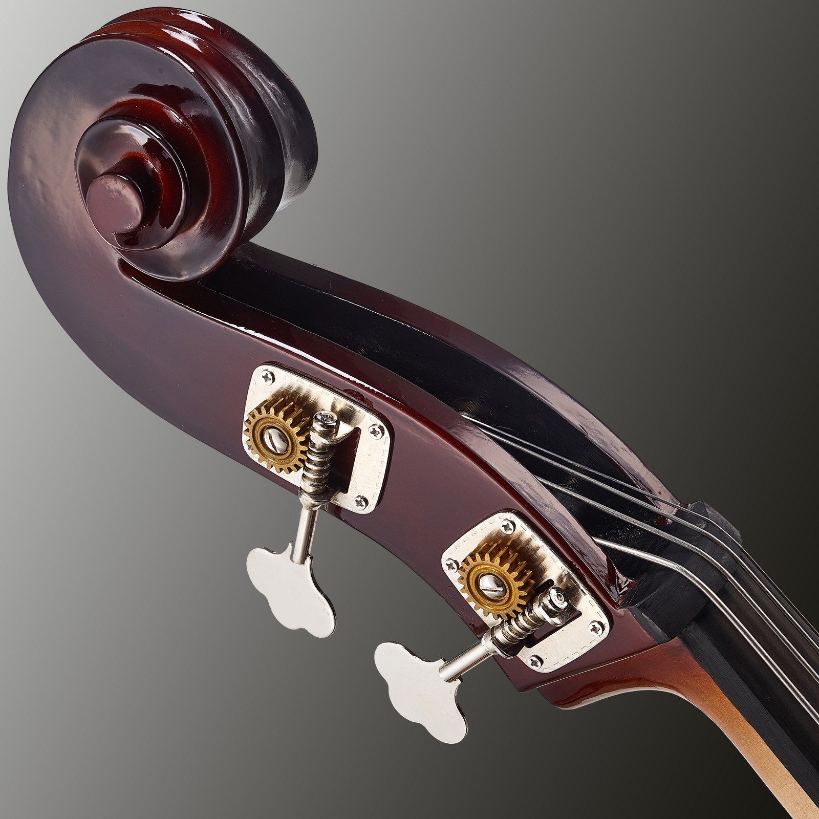 Schnecke vom Kontrabass