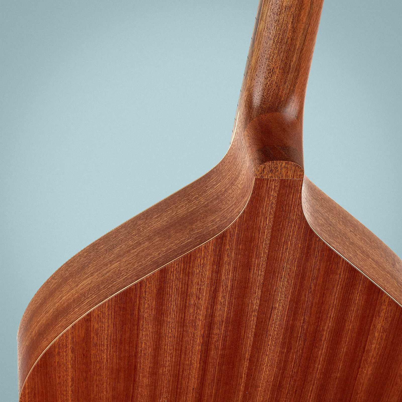 Rücken und Zargen aus Sapele, Rücken und Zargen aus Sapele