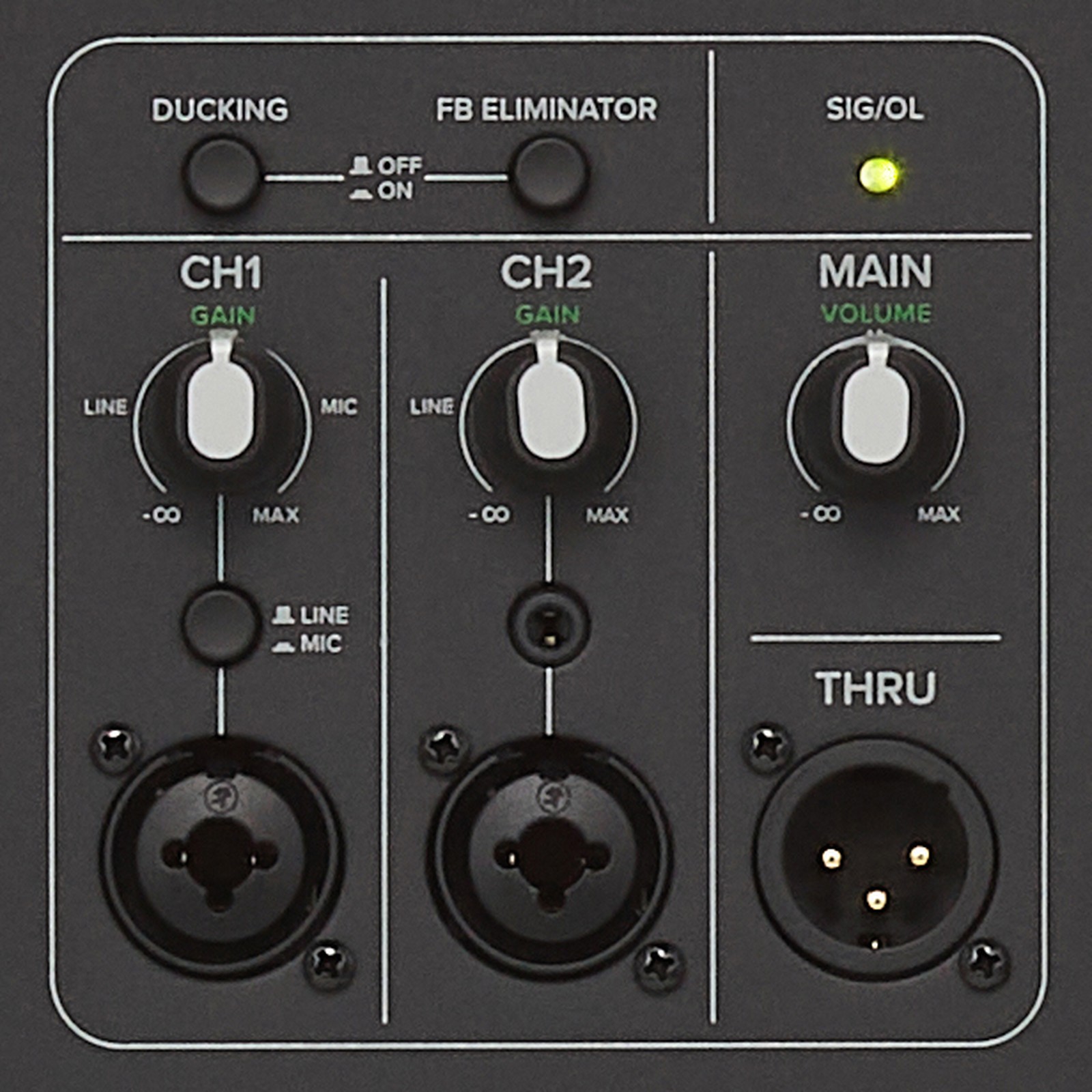 Controls on the Mackie Thump 212, monitoring speaker