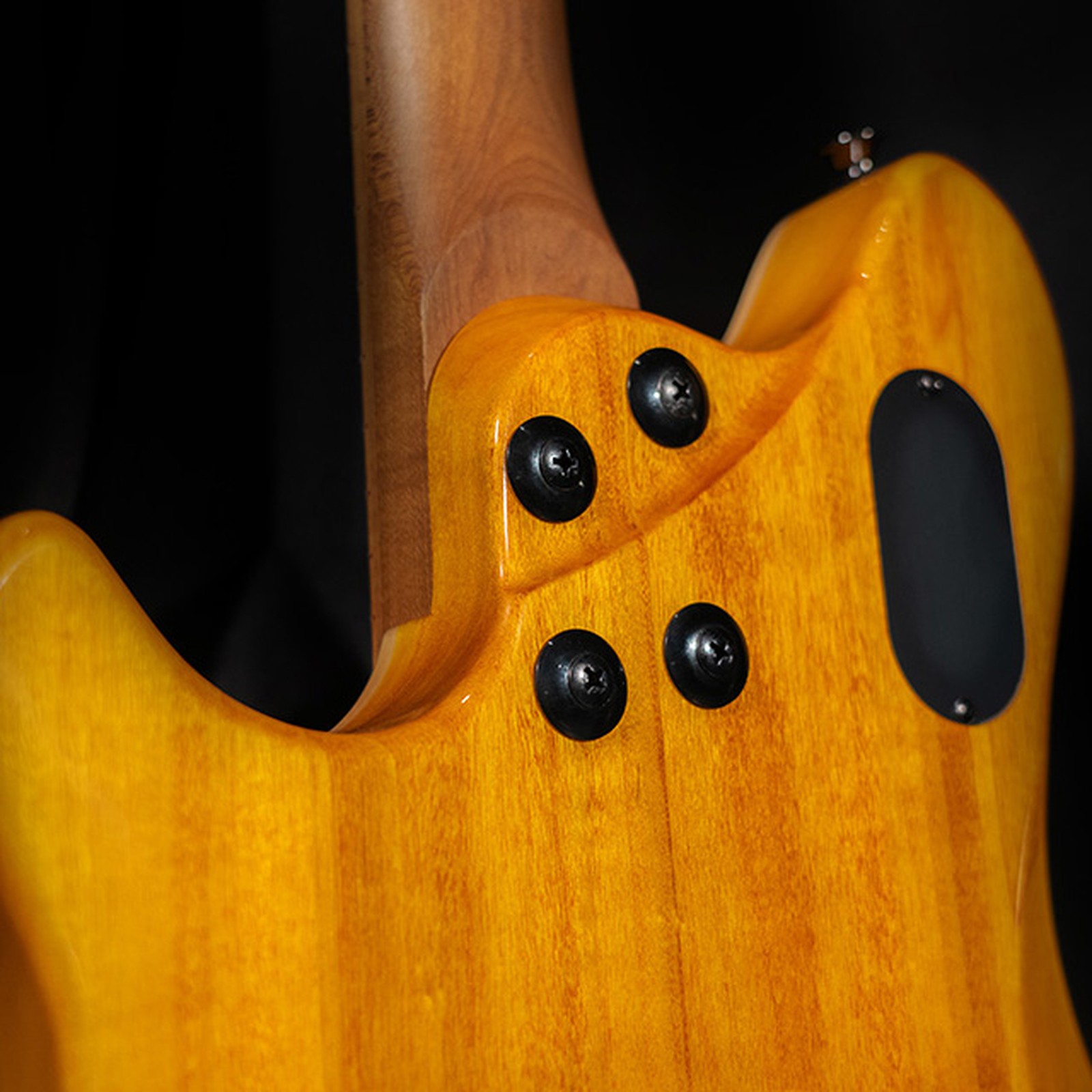 Geschraubter Hals auf der Rückseite der Evh Wolfgang WG Std QM TA