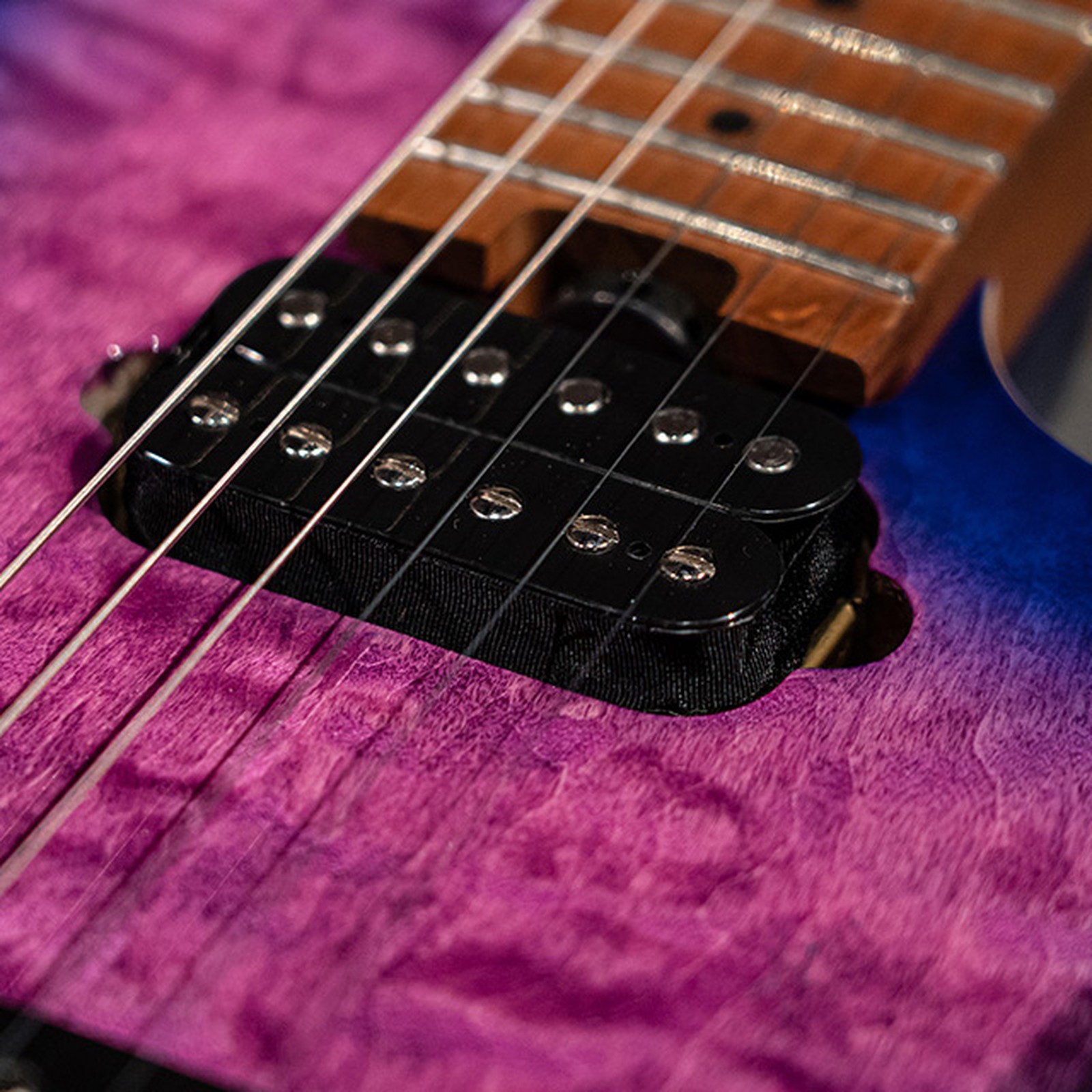 Humbucker in der Decke der Evh Wolfgang WG Std QM NL