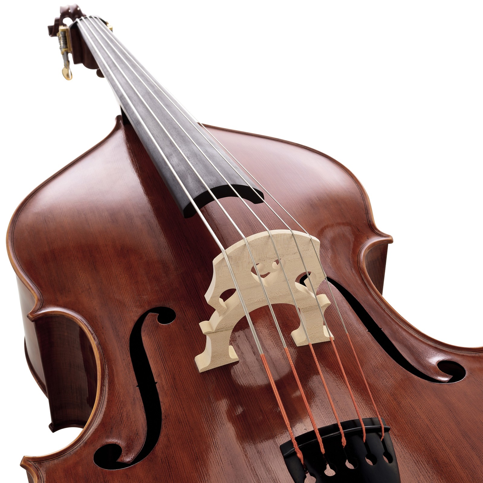 Steg des Scala Vilagio Double Bass Ceruti 5-Str. IB