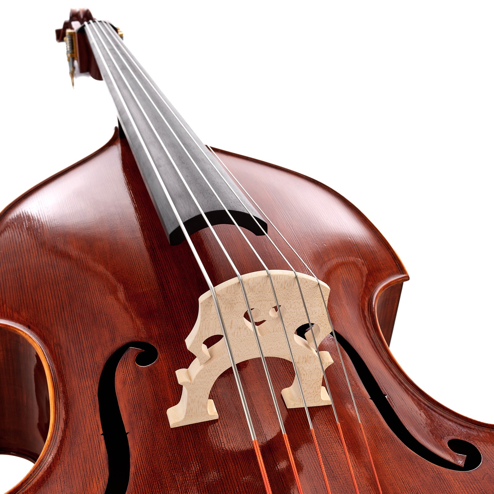 Scala Vilagio Double Bass Gamba 5-Str.