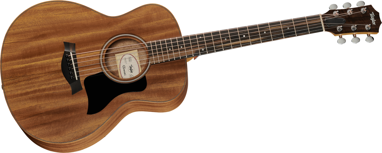 Komplettansicht der Taylor GS Mini-e Mahogany