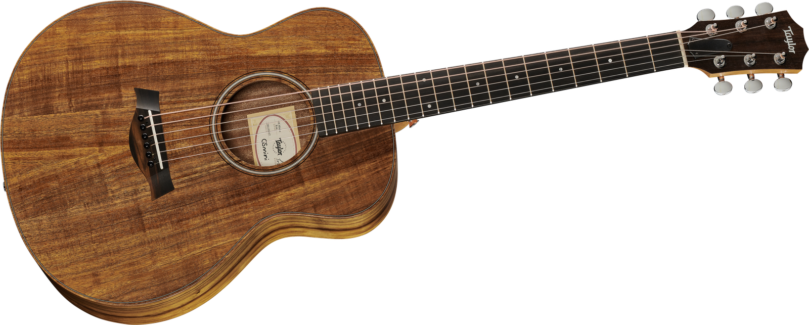 Komplettansicht der Taylor GS Mini-e Koa