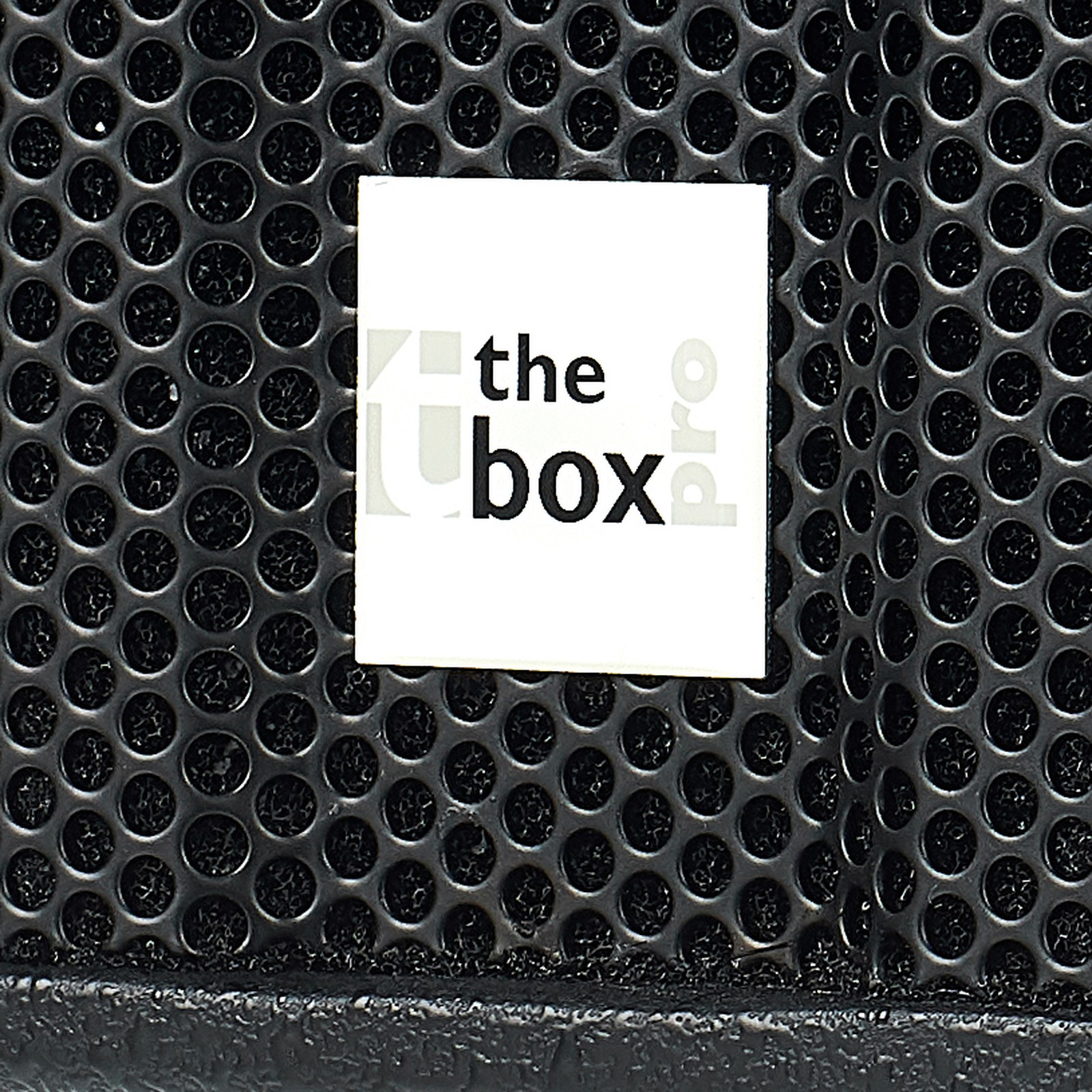 Herstellerlogo auf dem Frontgitter eines the box pro Achat Lautsprechers