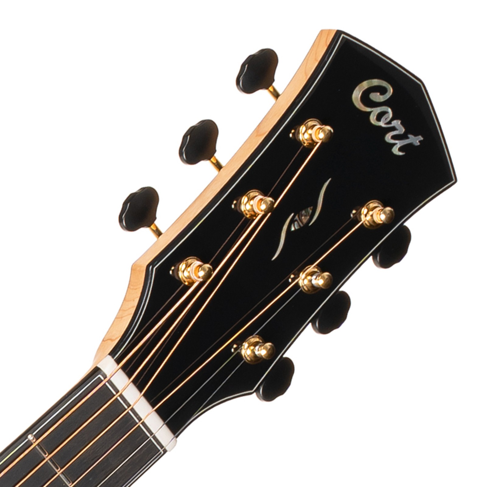 Cort Gold Passion Kopfplatte