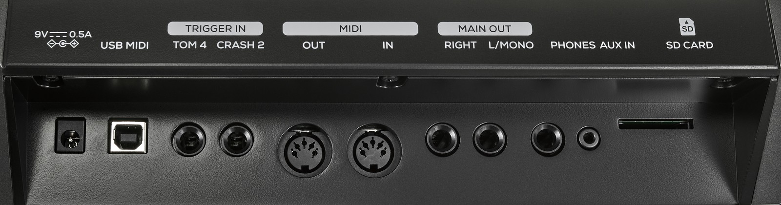 Rückseite des Alesis Crimson Moduls mit Anschlüssen