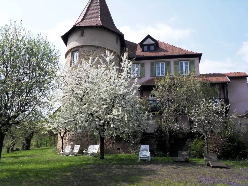 Chambre d'hôtes in Alsazia con torre storica e alberi in fiore