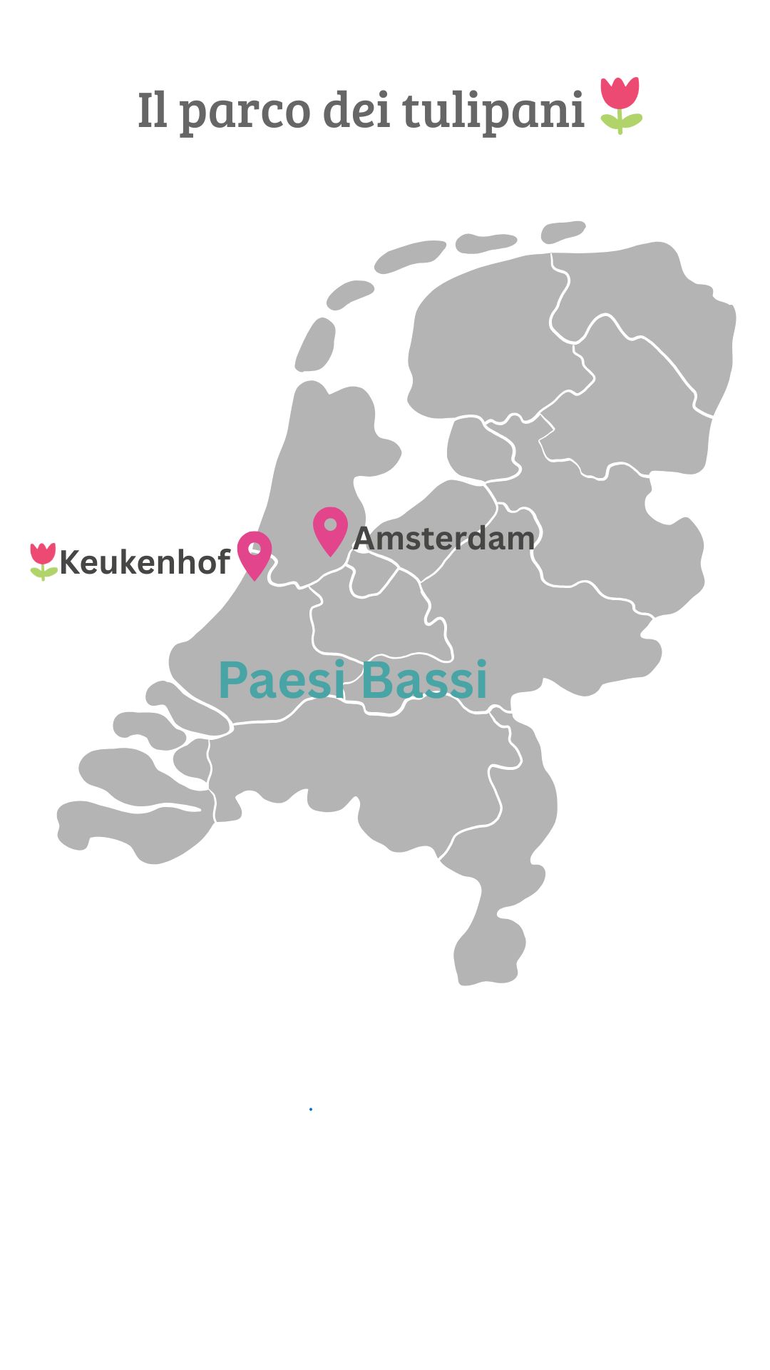 Mappa dei Paesi Bassi con evidenziati Keukenhof e Amsterdam, intitolata 'Il parco dei tulipani' con un’icona di tulipano.