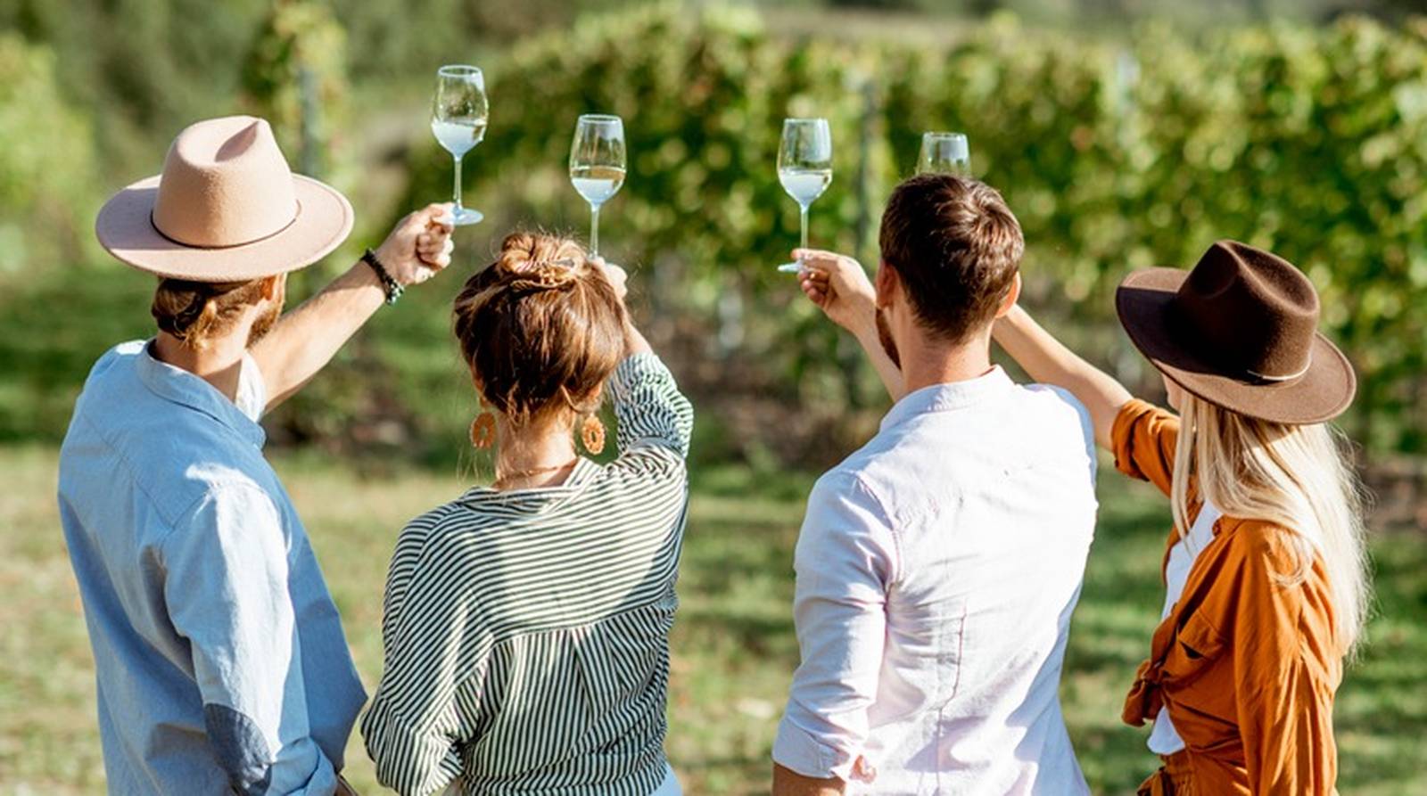 Tour del Vino in Italia