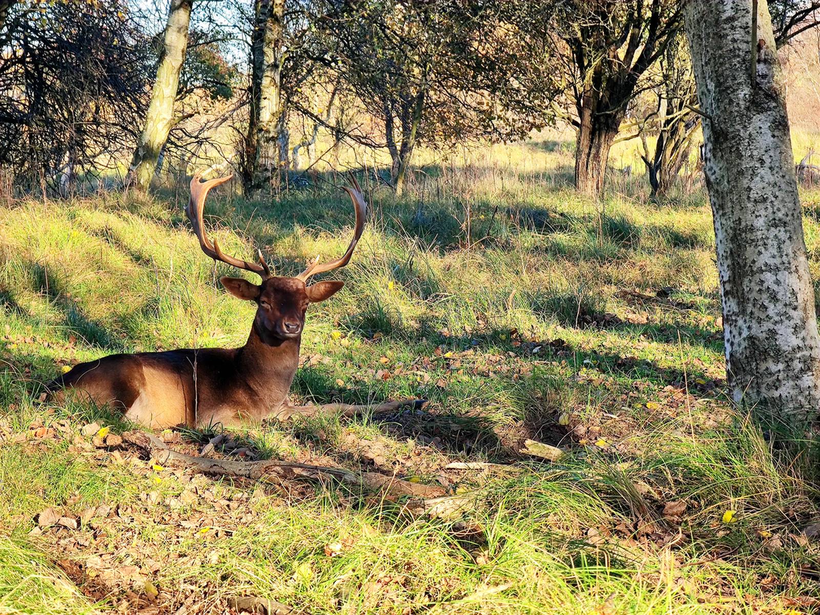 Ferienwohnung in der Natur