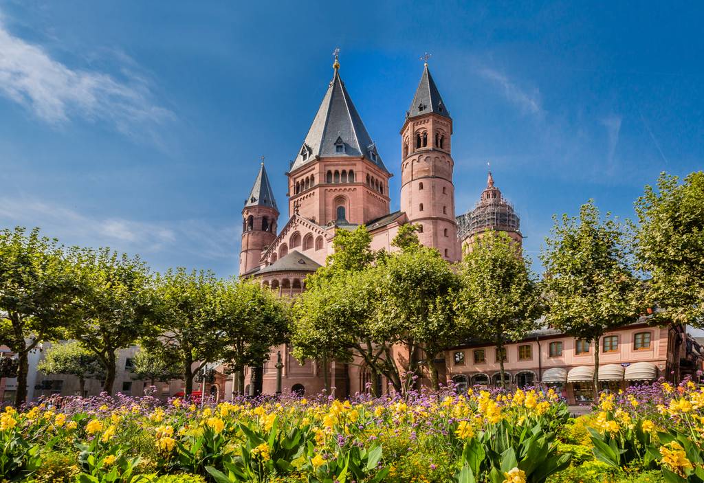 Eine historische Kathedrale mit hohen Türmen, umgeben von Bäumen und leuchtend gelben Blumen unter klarem, blauem Himmel