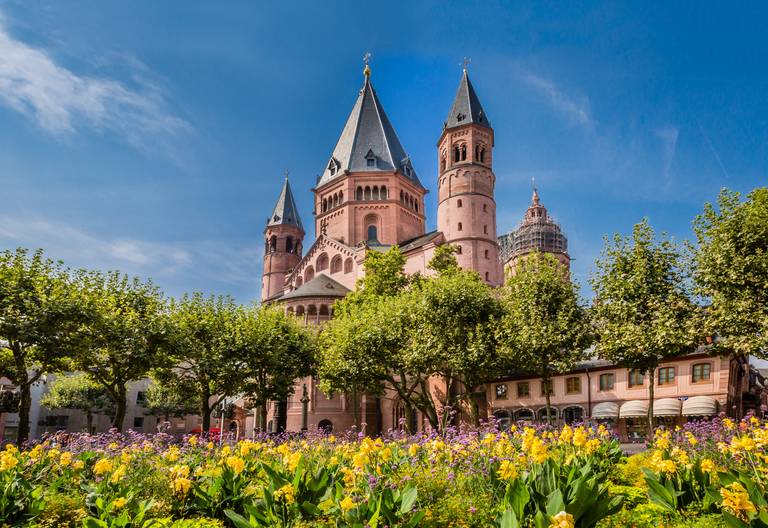 Eine historische Kathedrale mit hohen Türmen, umgeben von Bäumen und leuchtend gelben Blumen unter klarem, blauem Himmel