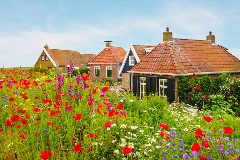 Friesland