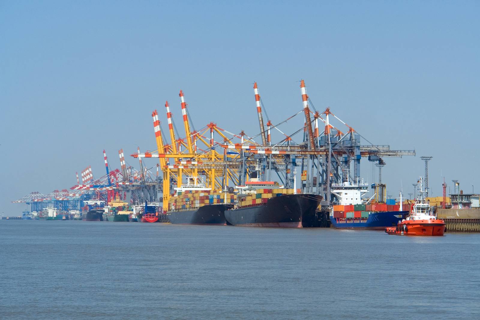 Das Herz: Der Hafen