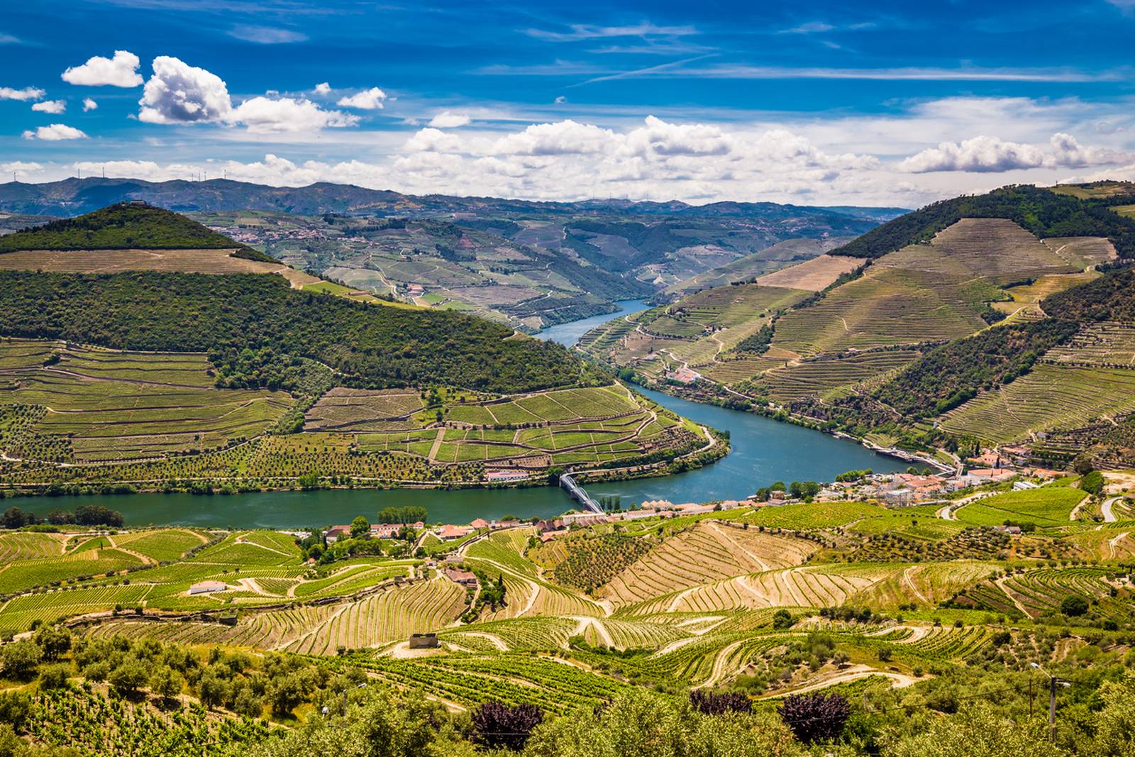 Valle del Douro in Portogallo