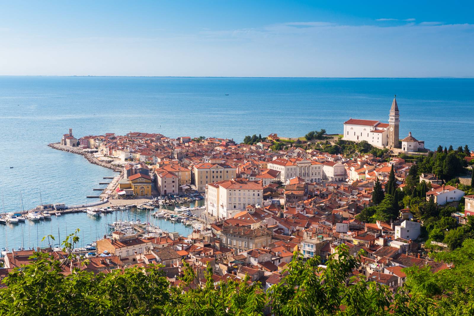 Aerial view of Piran with red-roofed buildings, a prominent church, a marina, and the blue sea under a clear sky.
