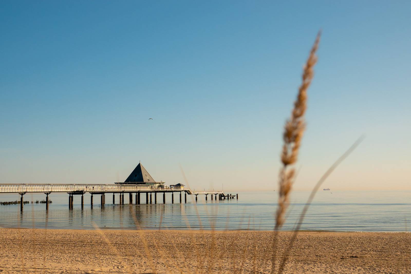 Blick auf Strand und Pier von Ahlbeck