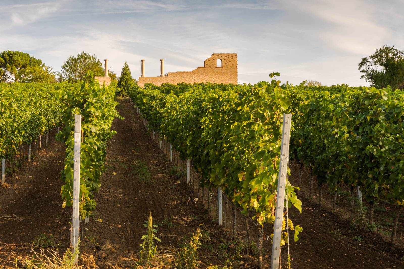Bad Dürkheim - strada del vino tedesca