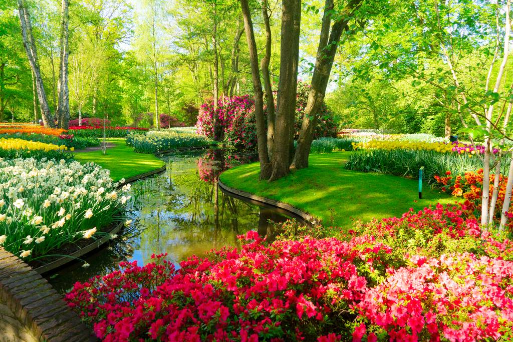 Blütenzeit im Keukenhof 2026
