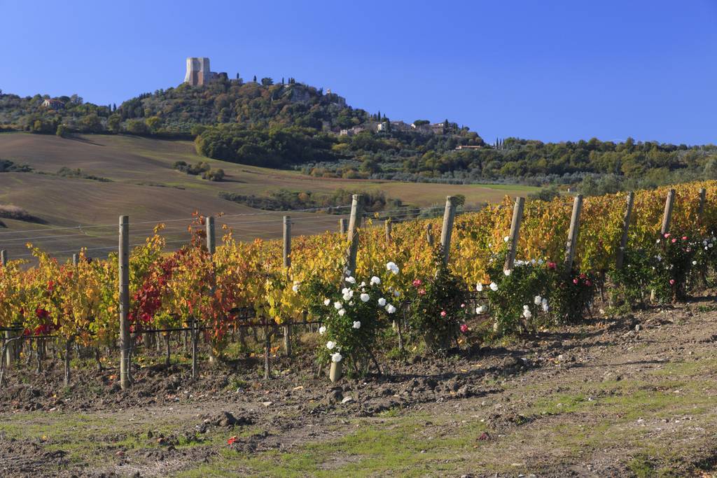 B&B Pienza