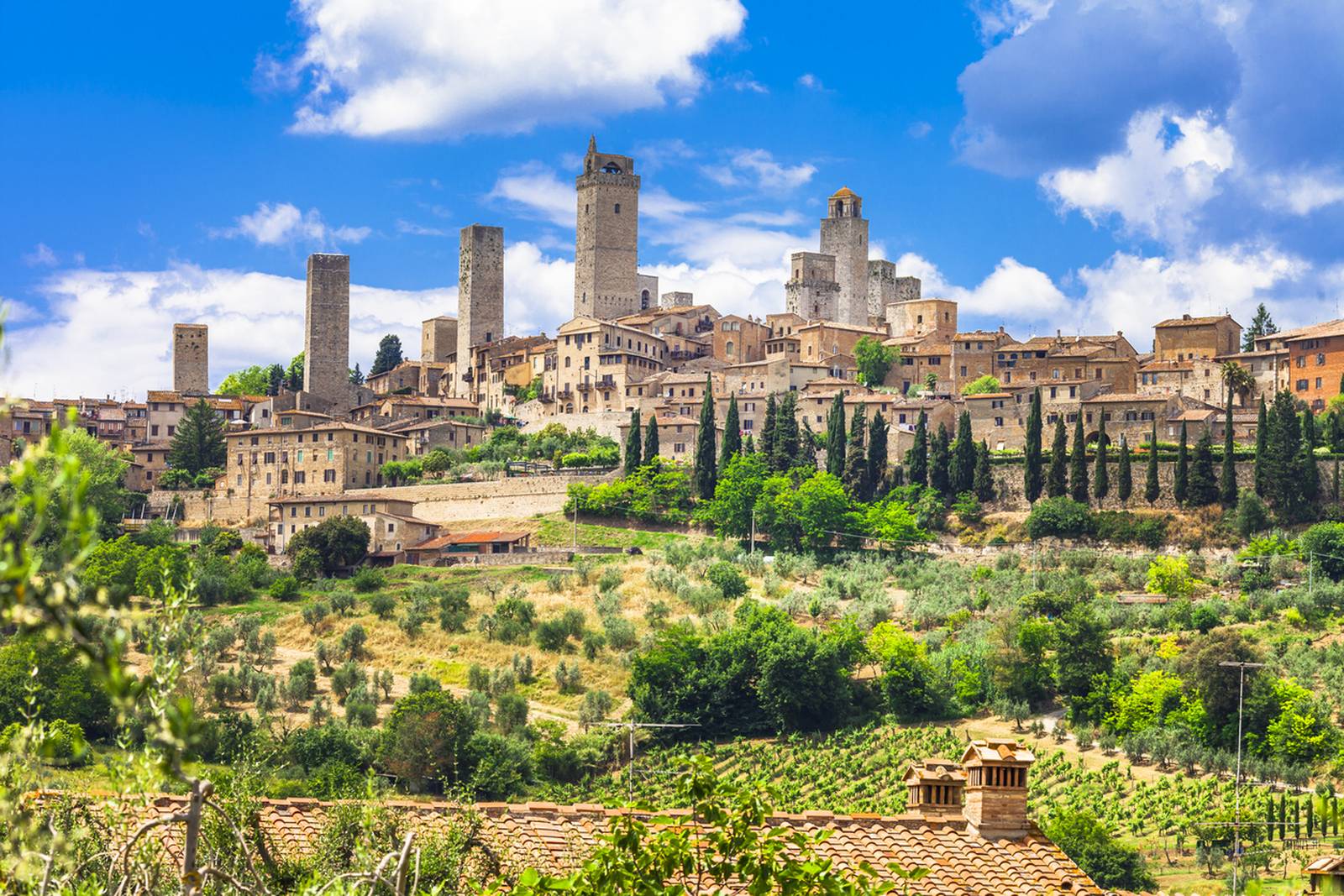 Strada del vino Vernaccia di San Gimignano 