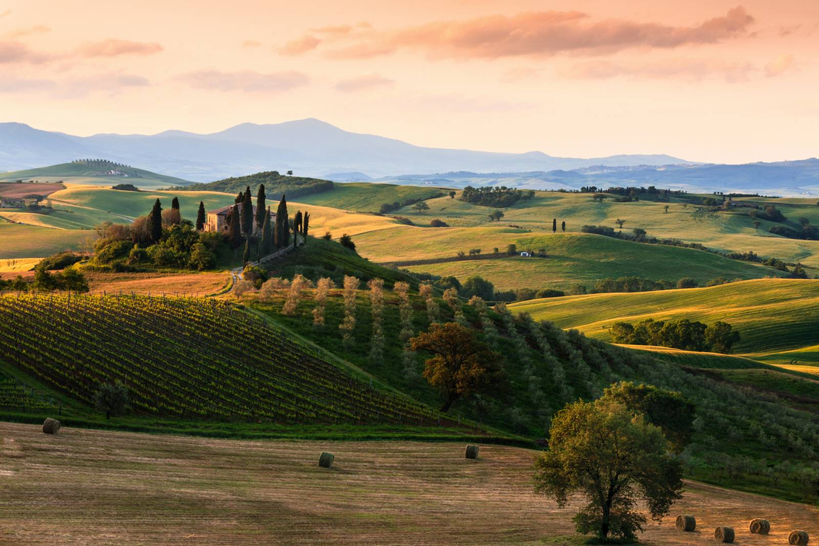 AgriturismoTuscany