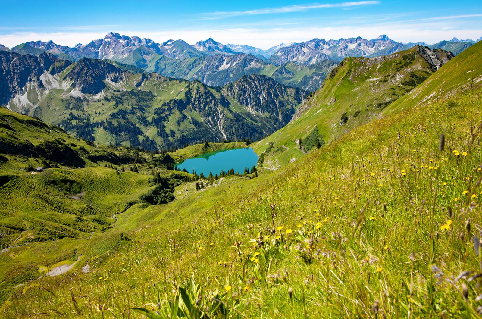 Grüne Almwiese mit Wildblumen und Blick auf einen türkisfarbenen Bergsee, umgeben von schroffen Gipfeln unter einem klaren blauen Himmel.